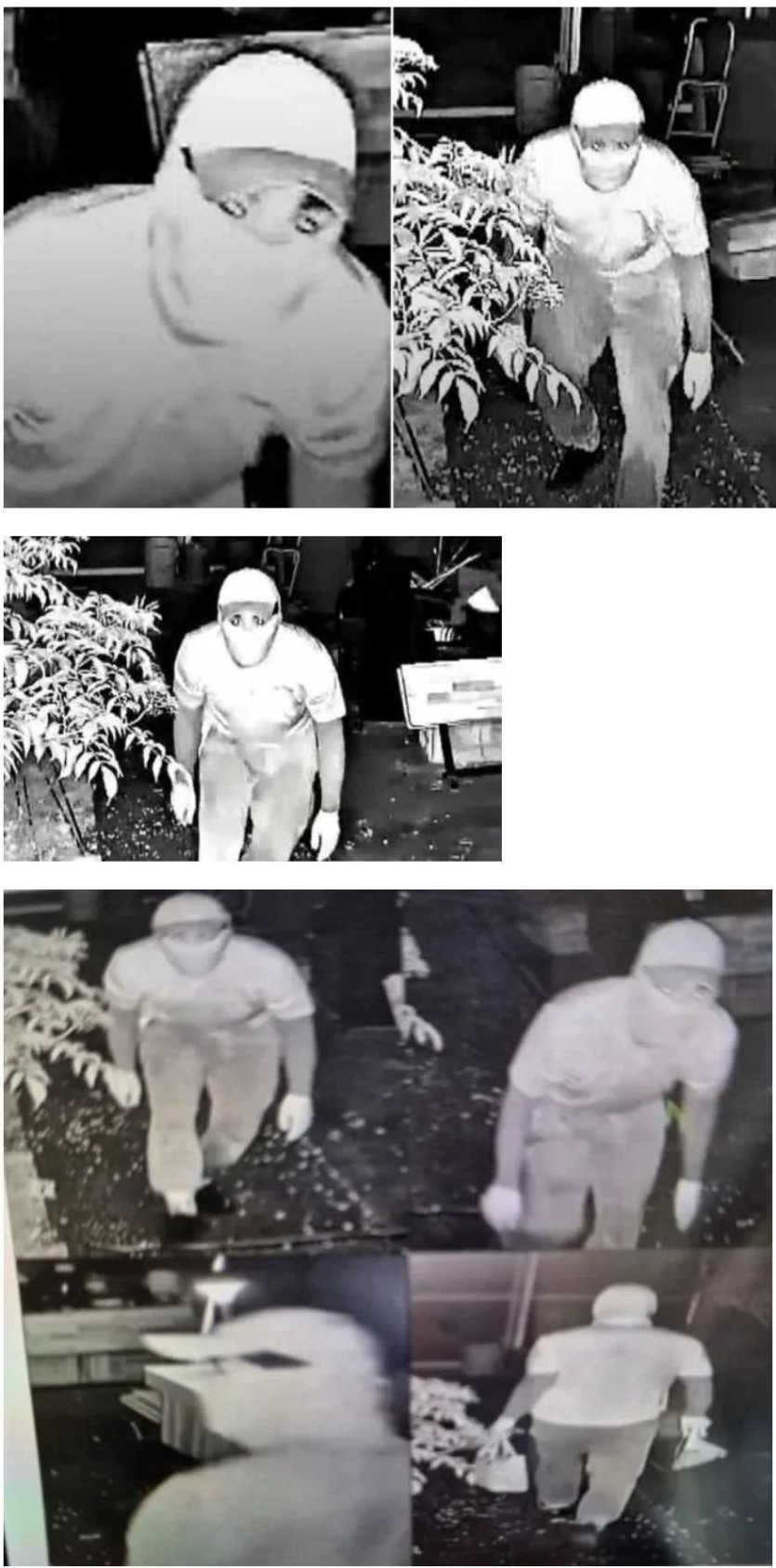 bea7fdf5f0281e67024027287c53f200_1785798187_9005.jpg